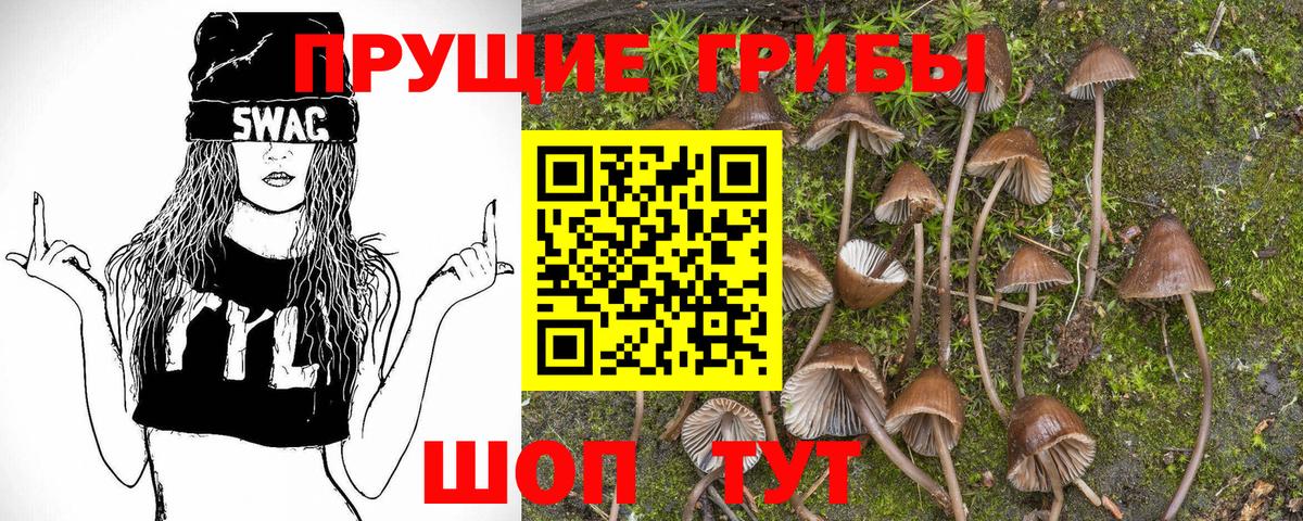 Галлюциногенные грибы мухоморы Архангельск