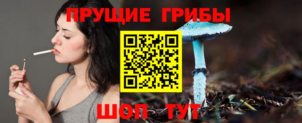 Архангельск  Псилоцибиновые грибы мицелий  Вход с VPN 